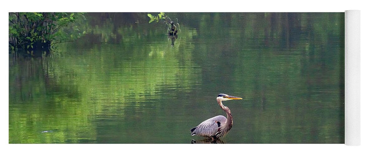 Great Blue Heron Yoga Mat featuring the photograph Wistful Wader by Marcy Wielfaert
