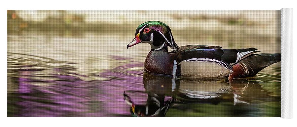 Wood Duck Yoga Mat featuring the photograph Wood Duck Swimming by Eva Lechner