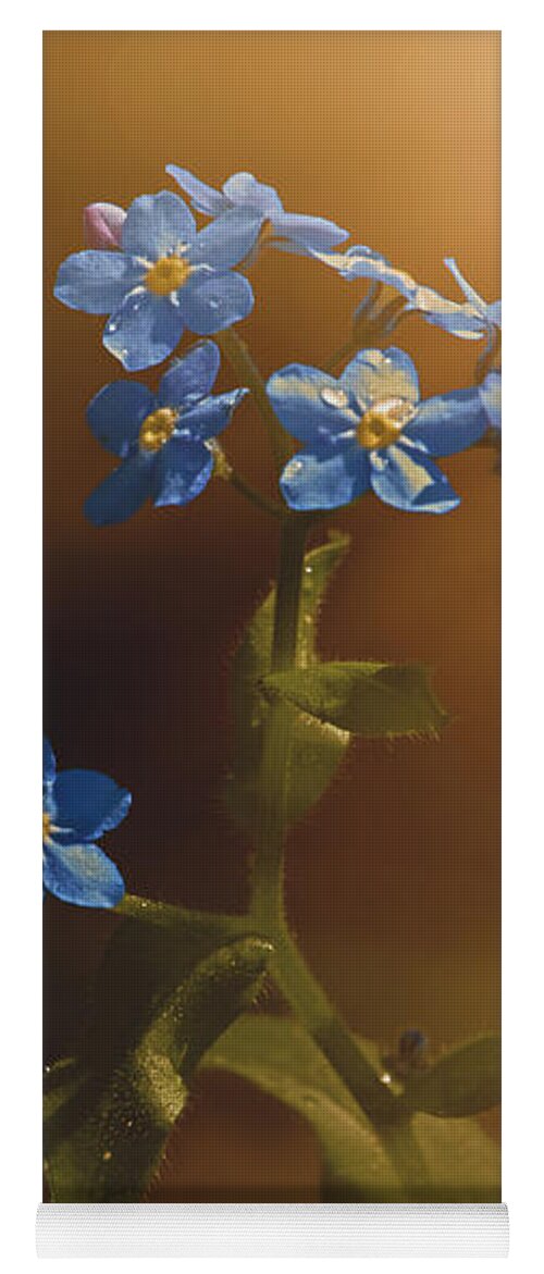 Wood Forget Me Not Yoga Mat featuring the photograph Woodland Forget-Me-Not by Bob Orsillo