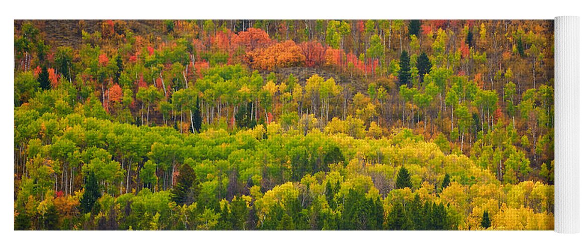 Wyoming Yoga Mat featuring the photograph Wyoming Fall Colors 1 by Ed Broberg