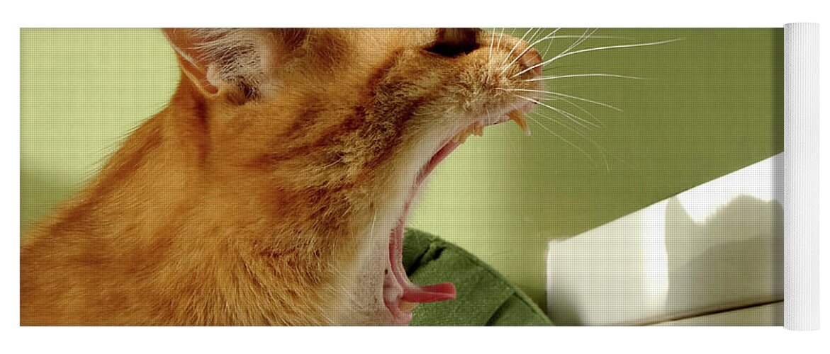 Pink Cat Yoga Mat featuring the photograph Yawning Cat by Inge Elewaut