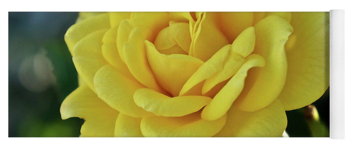 Yellow Rose Yoga Mat featuring the photograph Yellow Rose of Texas by Kathy Chism