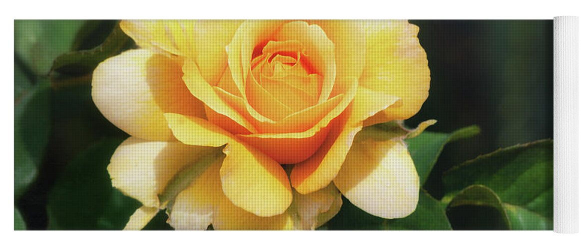 Yellow Rose Yoga Mat featuring the photograph Yellow Rose by Saija Lehtonen
