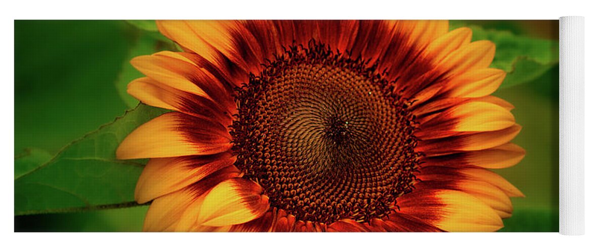 Sunflower Yoga Mat featuring the photograph Yellow Sunflower #2 by Allin Sorenson