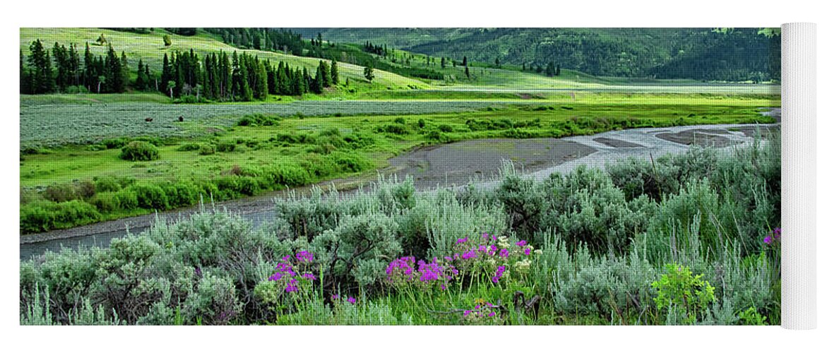 Lamar Valley Yoga Mat featuring the photograph Yellowstone's Lamar Valley by Marcy Wielfaert