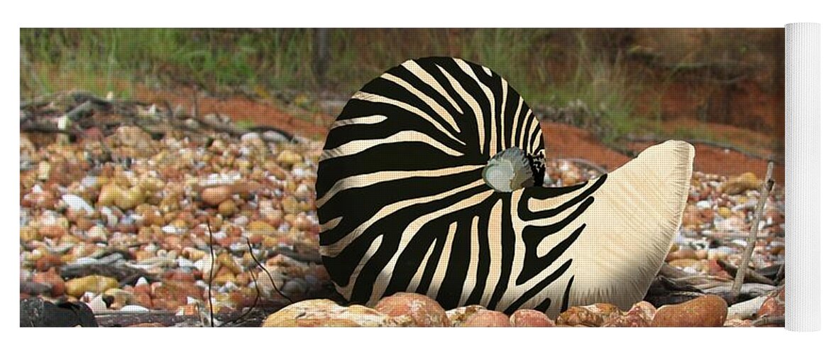 Animal Print Yoga Mat featuring the mixed media Zebra Nautilus Shell on Bauxite Beach by Joan Stratton