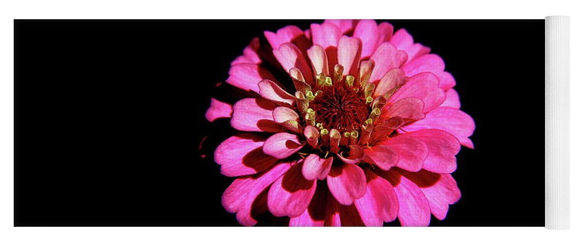 Flower Yoga Mat featuring the photograph Zinnia Wonder by Allen Nice-Webb