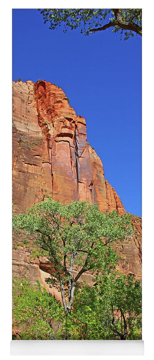 Zion Mountain R9idge Red Rocks Trees Of Green Blue Sky Too 6421 Yoga Mat featuring the photograph Zion mountain r9idge red rocks trees of green blue sky too 6421 by David Frederick