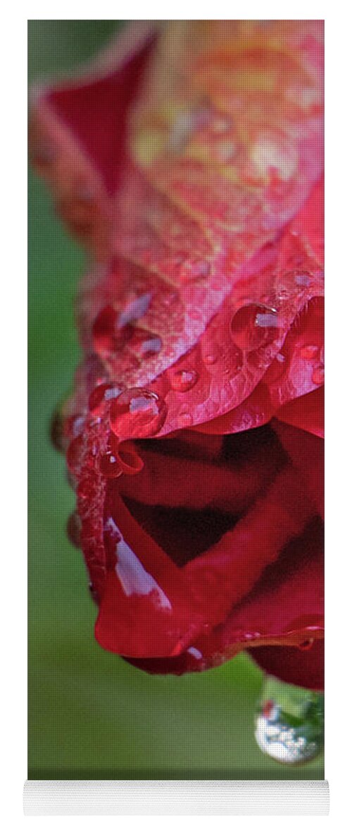 Hibiscus Yoga Mat featuring the photograph After the Rain #1 by M Kathleen Warren