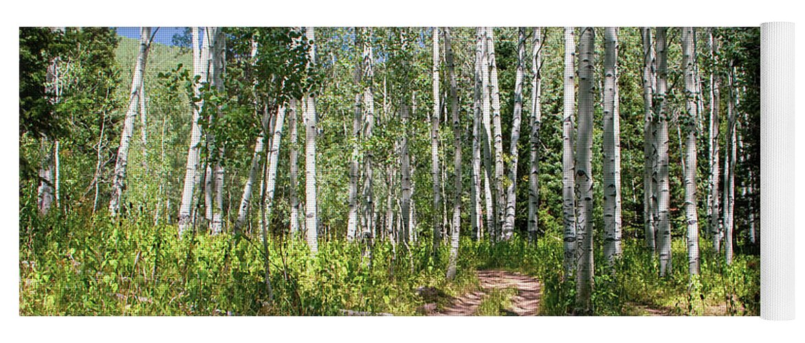Tranquil Yoga Mat featuring the photograph Aspen Trail #1 by K Bradley Washburn