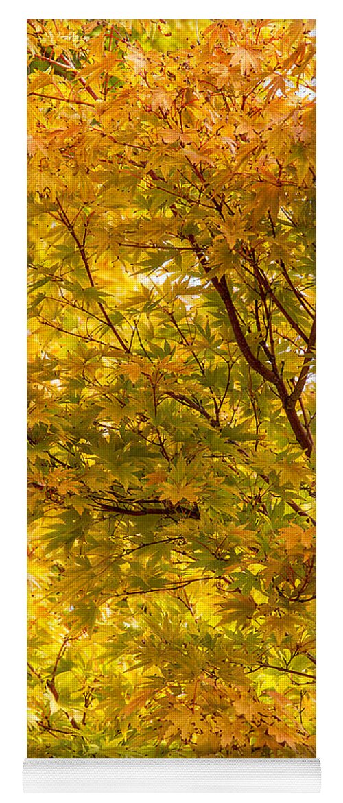 Fall Yoga Mat featuring the photograph Autumn #1 by Bob Cournoyer