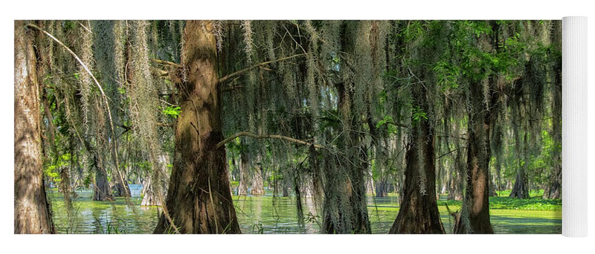America Yoga Mat featuring the photograph Bald cypresses, Lake Martin, Louisiana by Patricia Hofmeester