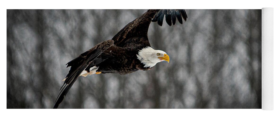 Bald Eagles Yoga Mat featuring the photograph Bald Eagle #1 by Patrick Boening