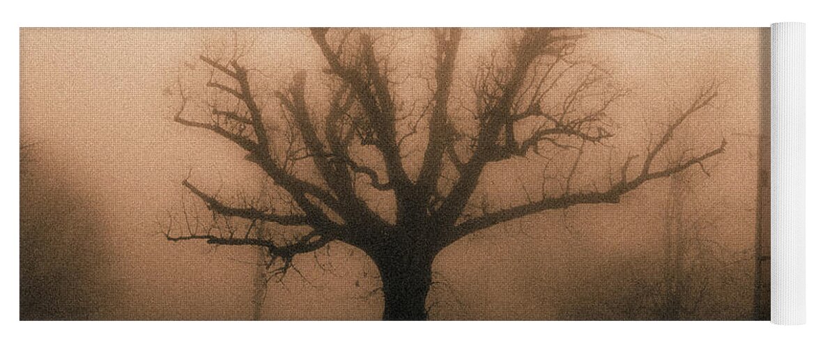 Bare Yoga Mat featuring the photograph Bare tree on a foggy morning #1 by David Morehead