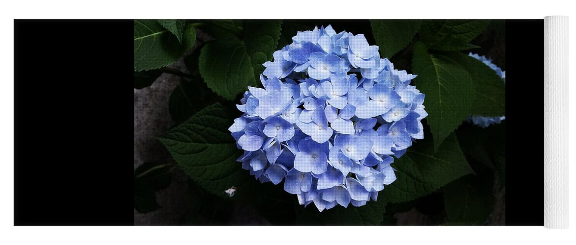 Flower Yoga Mat featuring the photograph Blue #2 by Tanja Leuenberger