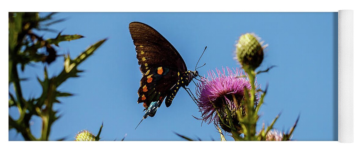 Butterfly Yoga Mat featuring the photograph Butterfly by David Beechum