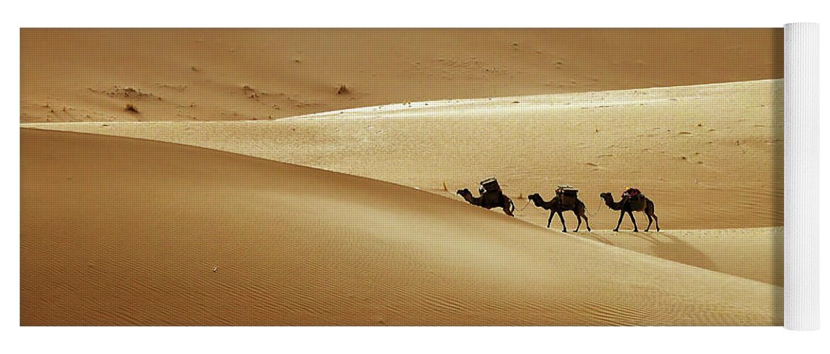 Desert Yoga Mat featuring the photograph Camel caravan in desert sand dunes #1 by Mikhail Kokhanchikov