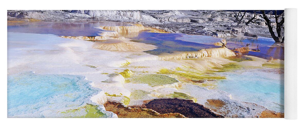 Canary Spring Yoga Mat featuring the photograph Canary Spring in Yellowstone #1 by Shixing Wen
