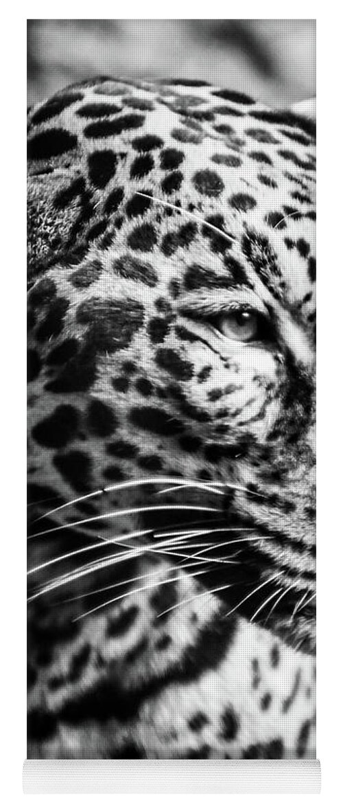 Cheetah Yoga Mat featuring the photograph Cheetah #1 by Michelle Wittensoldner