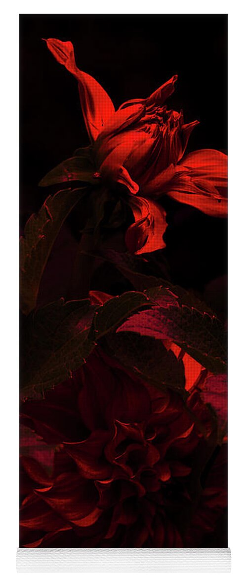 Red Yoga Mat featuring the photograph Falling Slowly Into Red by Cynthia Dickinson