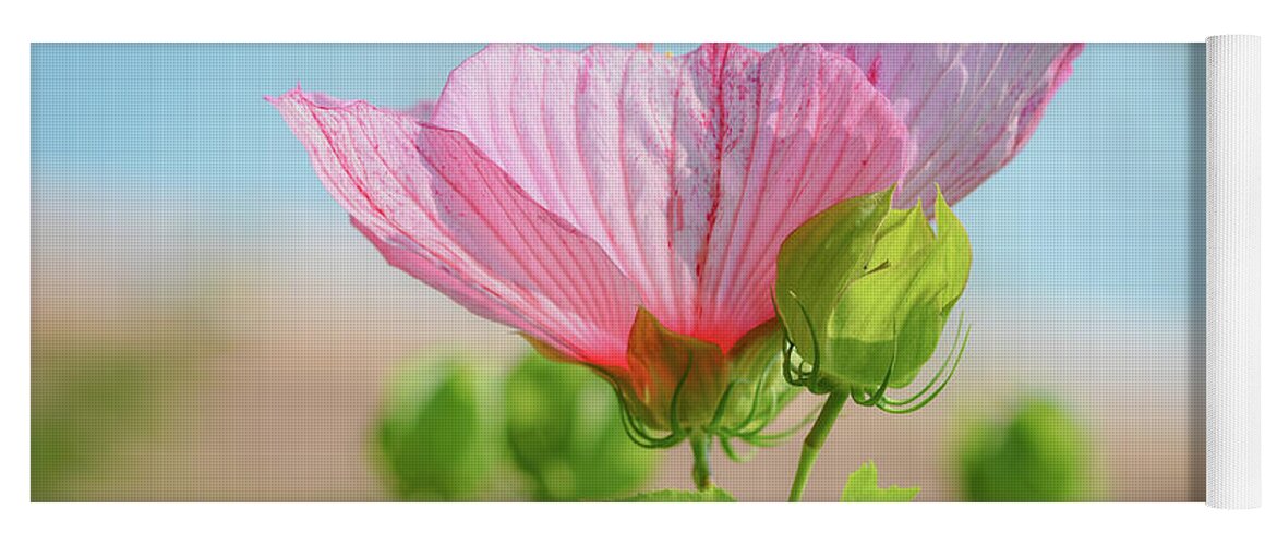 Landscape Flower Yoga Mat featuring the photograph Flower #1 by Michelle Wittensoldner