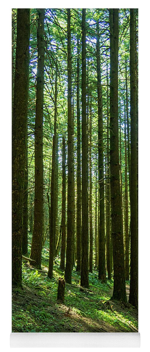 Columbia River Gorge Yoga Mat featuring the photograph Go Take A Hike by Leslie Struxness