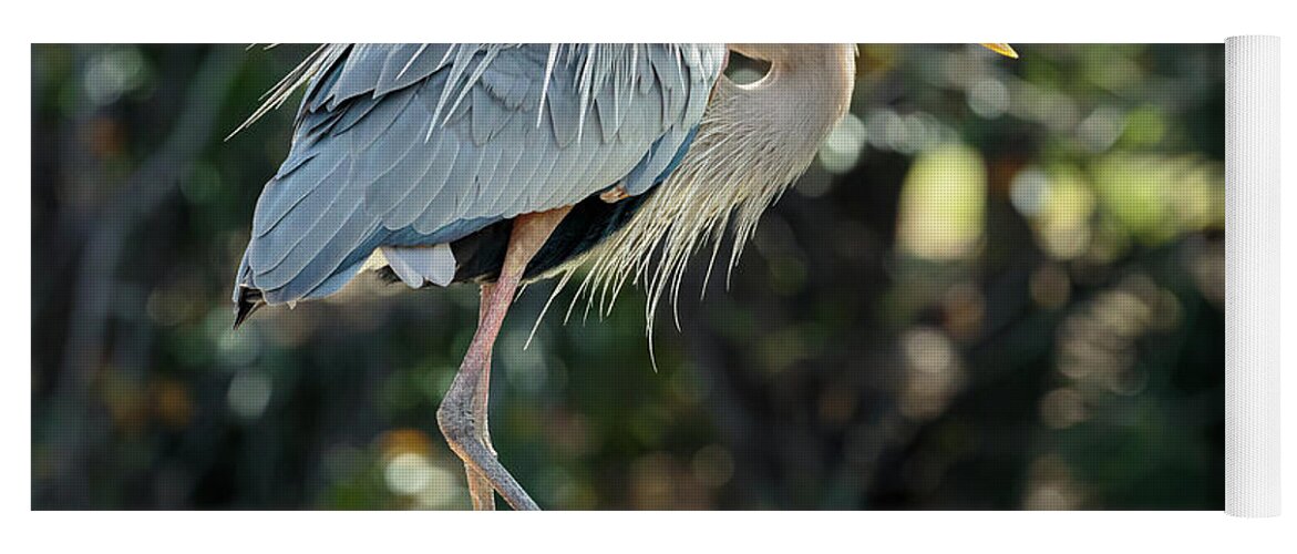 Birds Yoga Mat featuring the photograph Great Blue Heron #1 by David Lee
