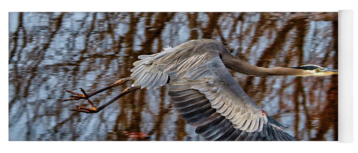 Birds Yoga Mat featuring the photograph Heron in flight #1 by Paul Ross