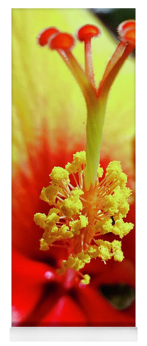 Hibiscus Yoga Mat featuring the photograph Hibiscus #1 by Laura Forde