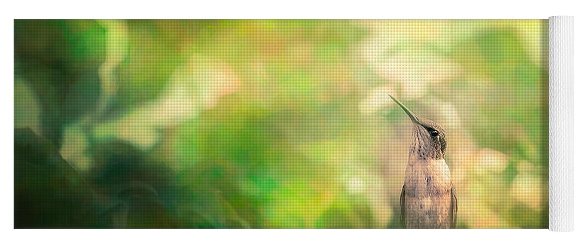 Hummingbird Yoga Mat featuring the photograph Hummingbird in Tree #1 by Allin Sorenson