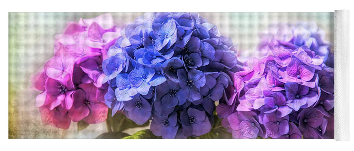 Flowers Yoga Mat featuring the photograph Hydrangeas #1 by Diana Haronis