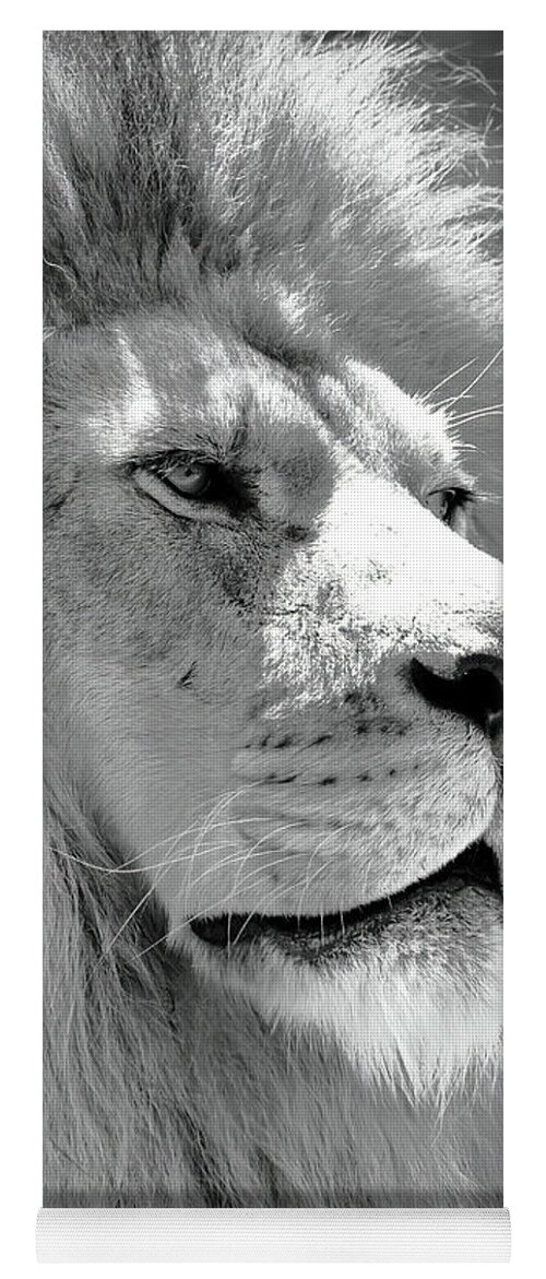 Lion Yoga Mat featuring the photograph Is This My Good Side by Lens Art Photography By Larry Trager