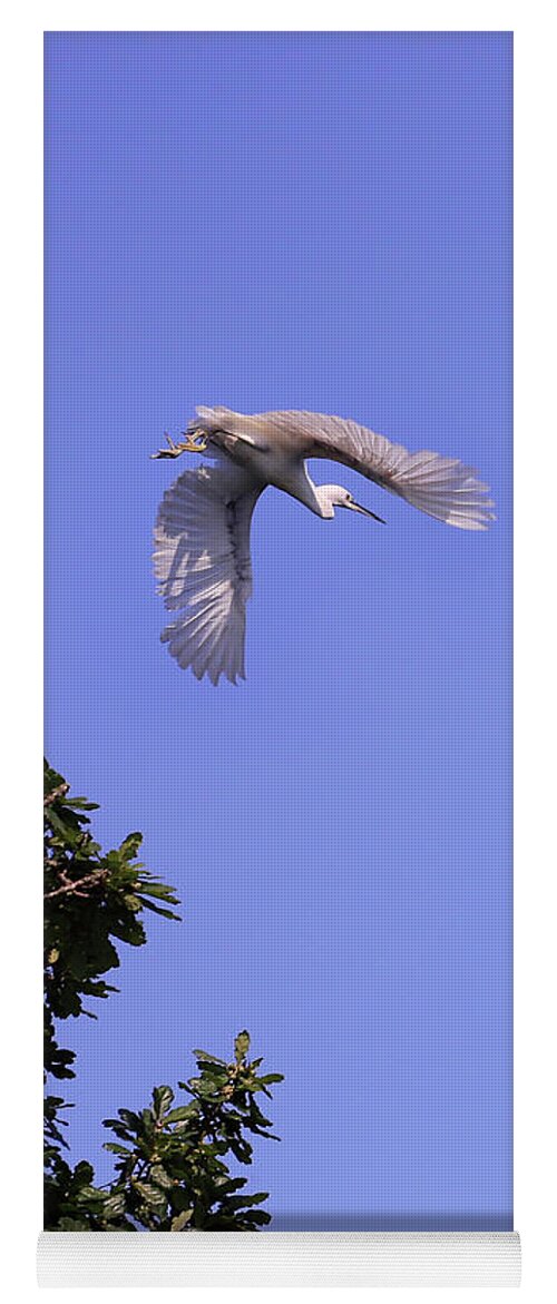 Wildlife Yoga Mat featuring the photograph Egret in Flight by Terri Waters