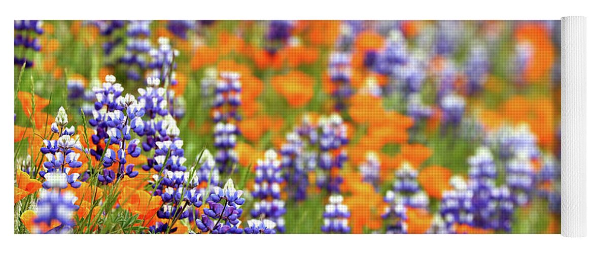 Lupine Yoga Mat featuring the photograph Lupines and Poppies #1 by Vivian Krug Cotton