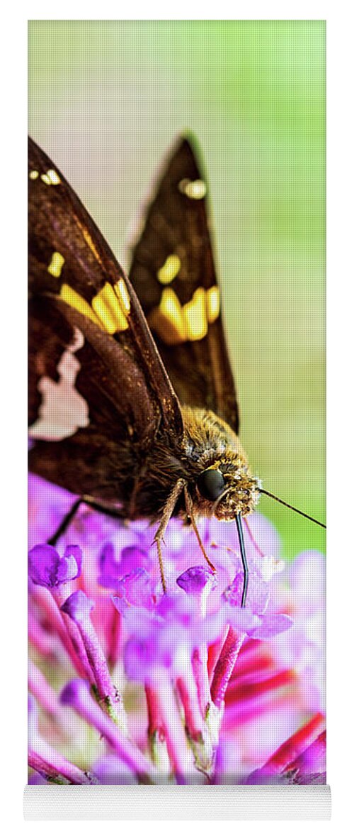 Plants Yoga Mat featuring the photograph Macro Photography - Butterfly #1 by Amelia Pearn