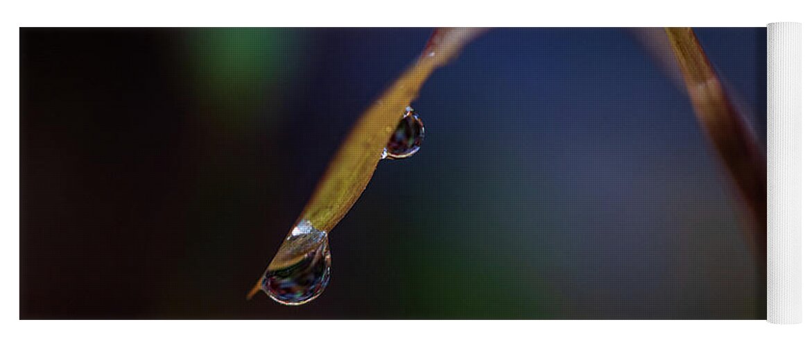 Fall Yoga Mat featuring the photograph Macro Photography - Water Drops on Grass #1 by Amelia Pearn