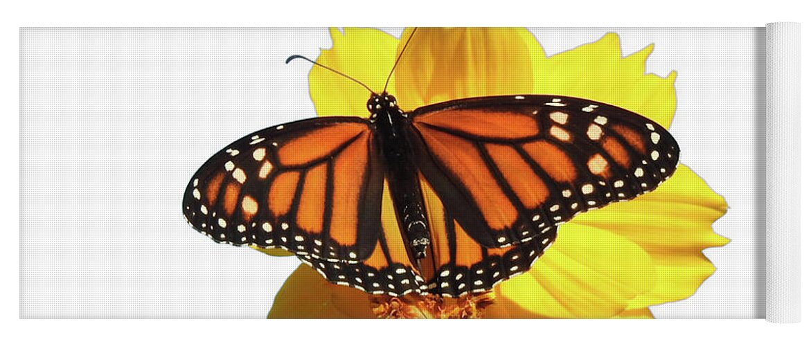 Monarch Butterfly Yoga Mat featuring the photograph Monarch Butterfly Art #1 by Scott Cameron