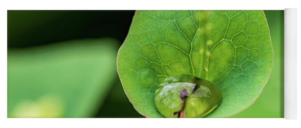 Plants Yoga Mat featuring the photograph Nature Photography - Plants #1 by Amelia Pearn