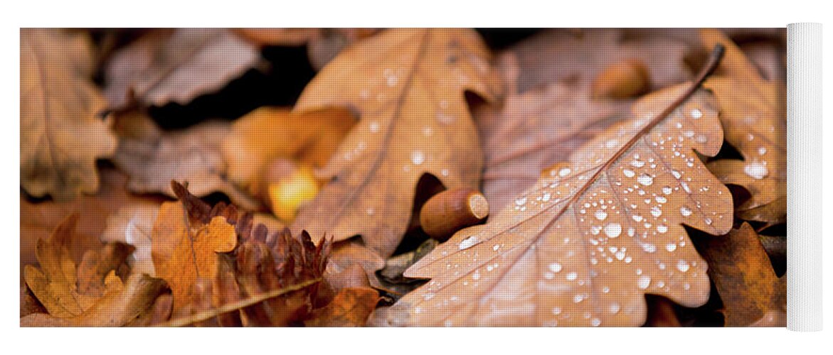Fall Yoga Mat featuring the photograph Oak Leaves and rain drops by Anita Nicholson