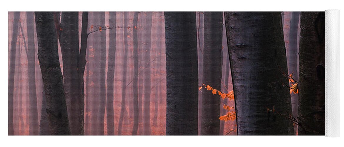 Mountain Yoga Mat featuring the photograph Orange Wood by Evgeni Dinev