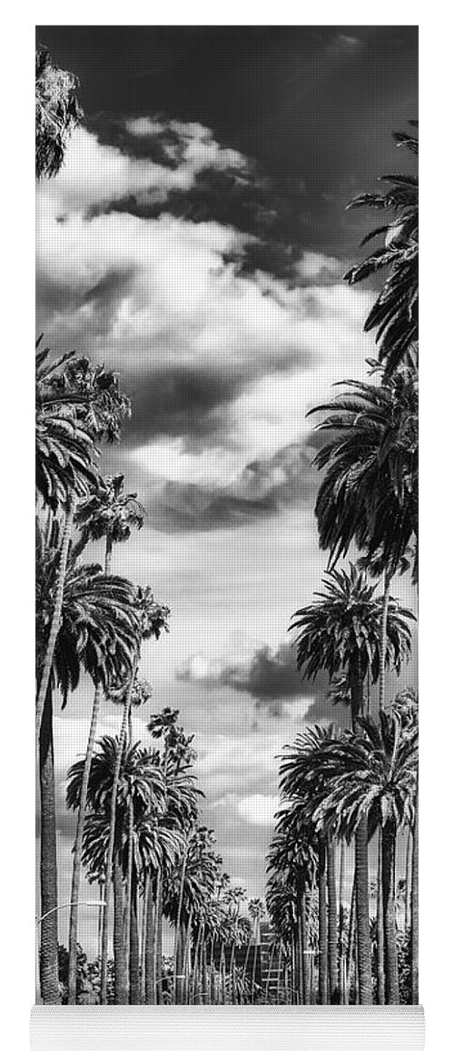 Palm Trees Yoga Mat featuring the photograph Palm Tree Lined Street - Beverly Hills #1 by Mountain Dreams