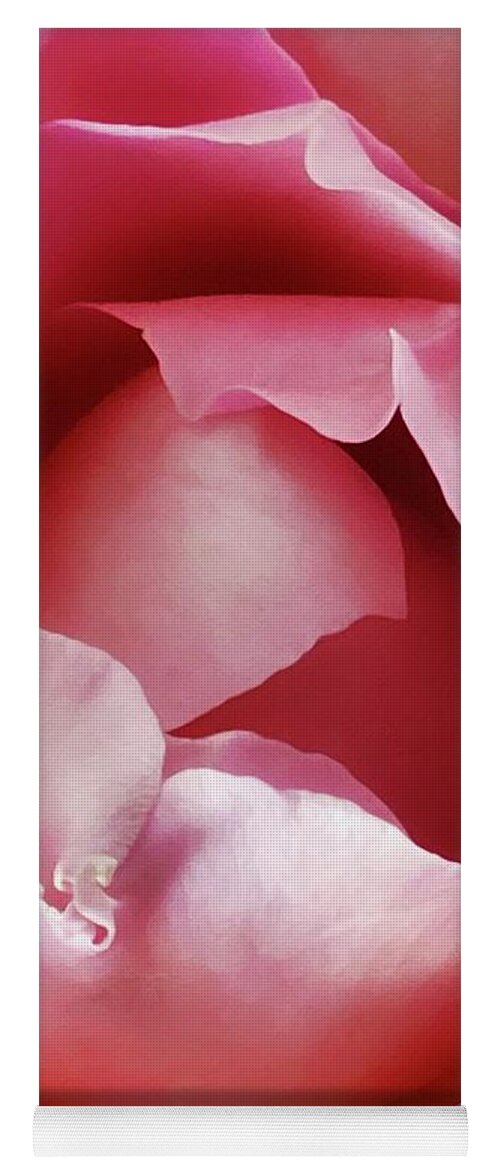 Nursery Yoga Mat featuring the photograph Pink Rose #1 by Steph Gabler