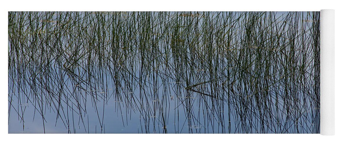 Pond Yoga Mat featuring the photograph Pond Reflections by Kae Cheatham