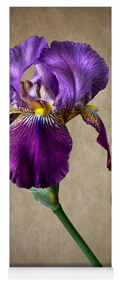 Iris Yoga Mat featuring the photograph Purple iris #1 by Endre Balogh