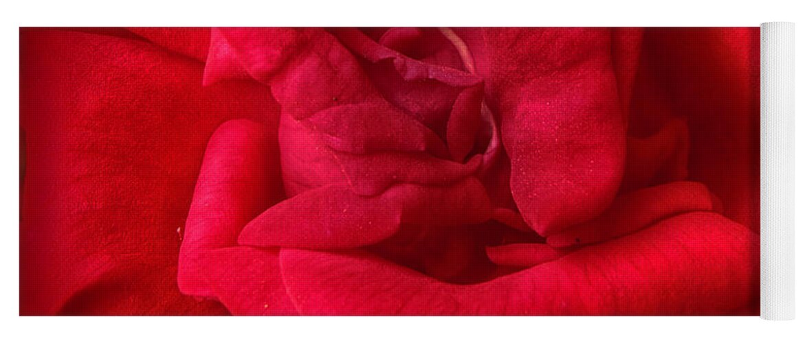 Red Yoga Mat featuring the photograph Red Red Rose #1 by Judy Hall-Folde