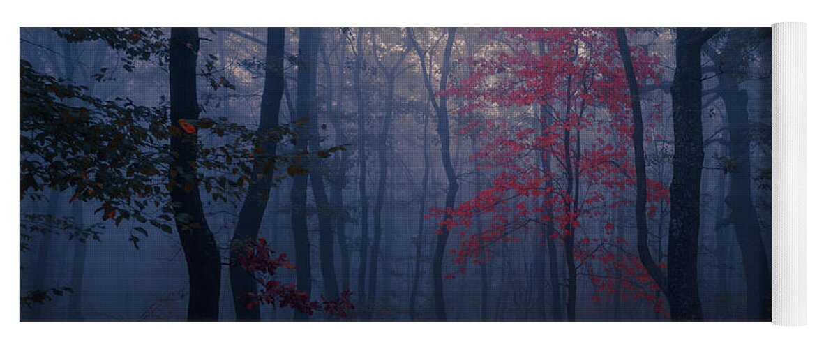 Balkan Mountains Yoga Mat featuring the photograph Red Tree by Evgeni Dinev