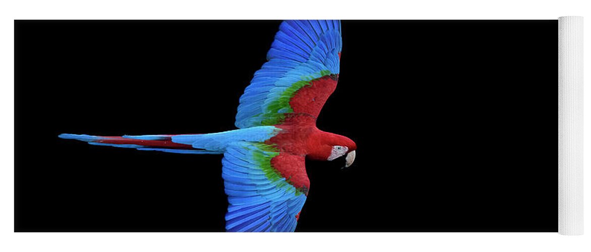 Brazil Yoga Mat featuring the photograph Red and Green Macaw by Patrick Nowotny