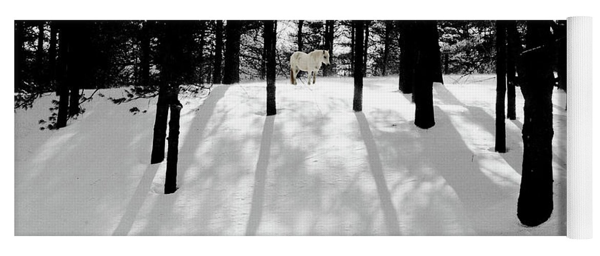 Pony Yoga Mat featuring the photograph Spirit Pony in Monochrome Shadows by Wayne King