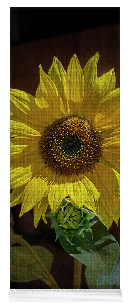 © 2013 Lou Novick Yoga Mat featuring the photograph Sunflower #1 by Lou Novick