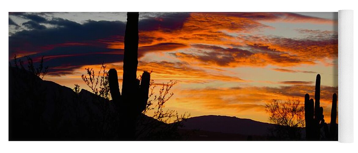 Sunrise Yoga Mat featuring the photograph Sunrise with Cactus #1 by Hella Buchheim